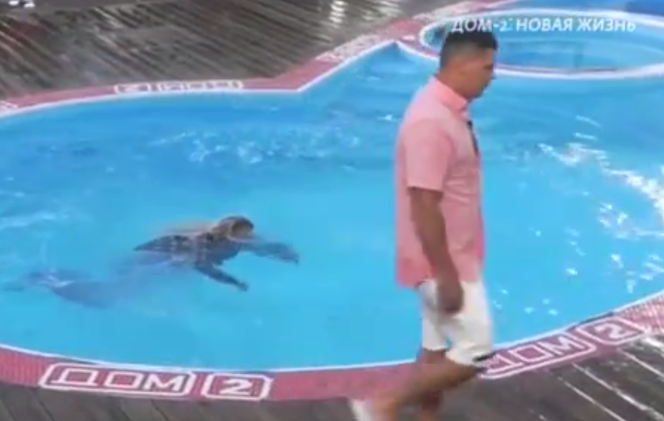 Полыгалова считает, что Барзиков разрушает чужие жизни