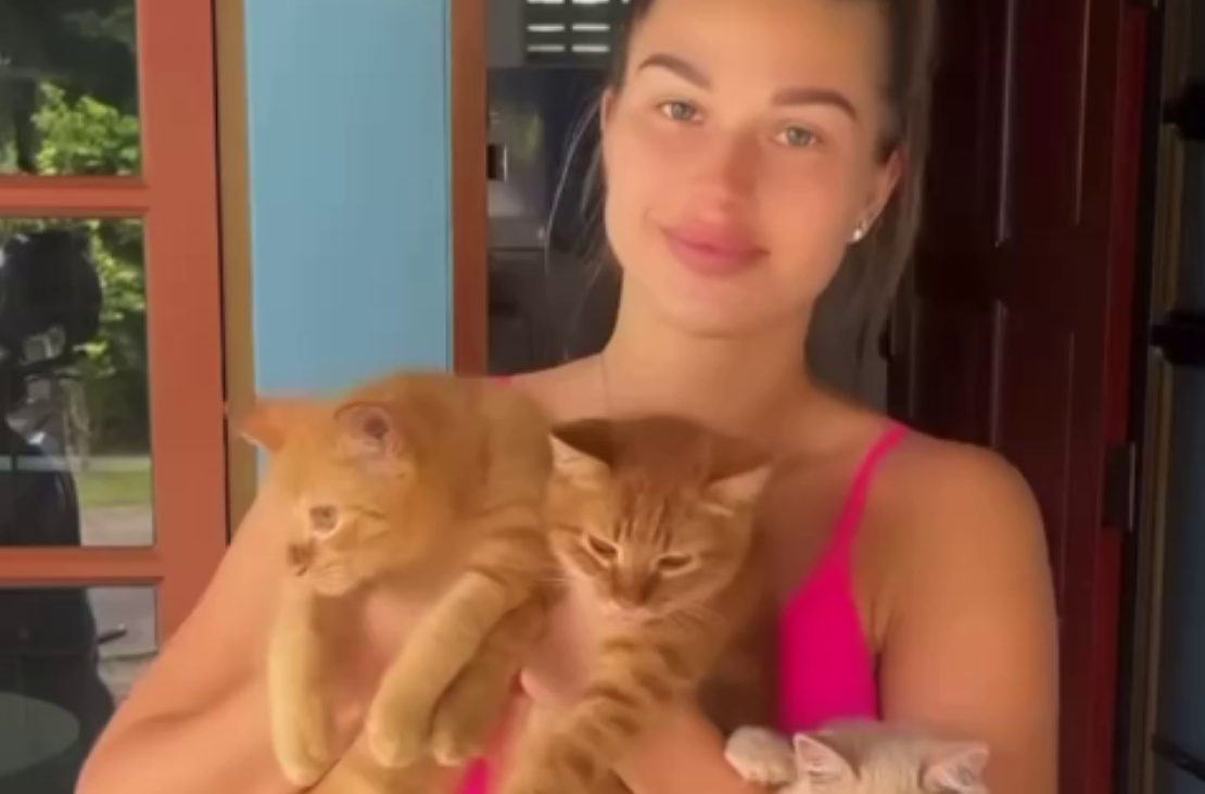 Ромашовы отметили День кошек, открыв кошачью столовую в Таиланде Ромашовы отметили День кошек, открыв кошачью столовую в Таиланде