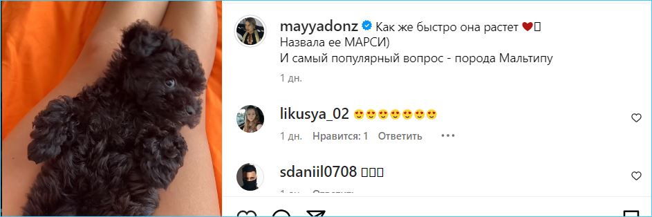 Майя Донцова еще не определилась со своим местом жительства