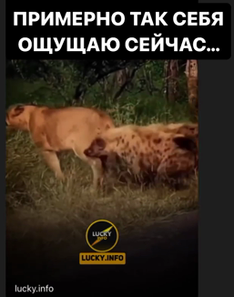 Александре Черно не нравится быть изгоем на Доме 2