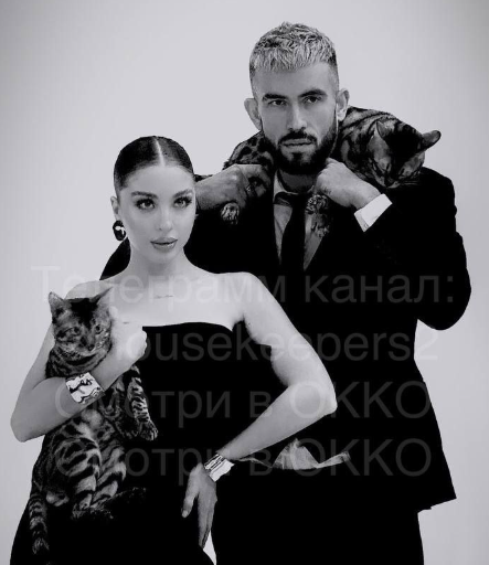 Кошки не пострадали на фотосессии Квашниковой и Григорьева