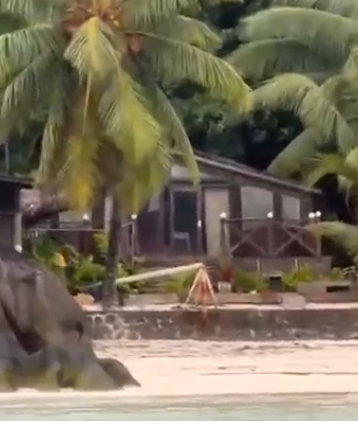 Последние новости дом 2 на сегодня 30 января 2025