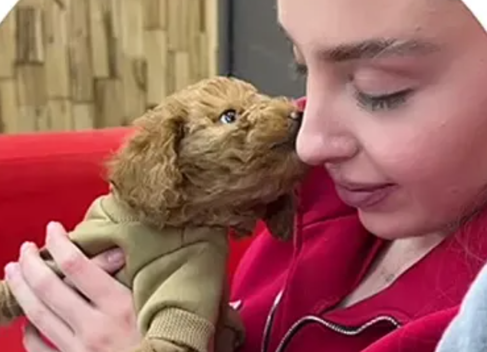 Последние новости дом 2 на сегодня 28 марта 2025