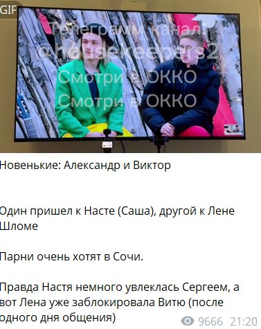 Пропуск в Сочи к Елене Шломе стоит 2 тысячи рублей