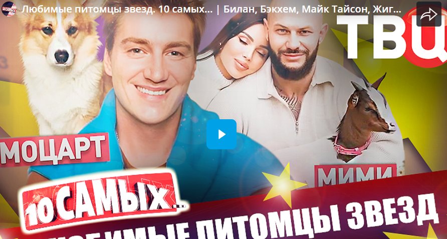 Любимые питомцы звезд. 10 самых... Билан, Бэкхем, Майк Тайсон, Жигунов, Лолита