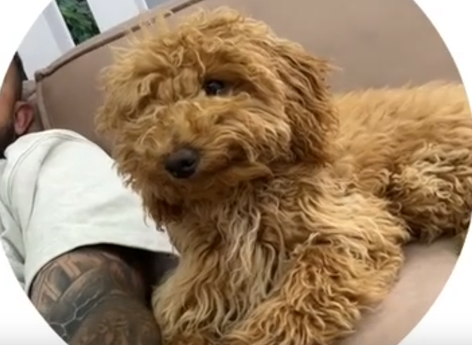 Григорьев спас отношения, позвав Квашникову на необычное свидание