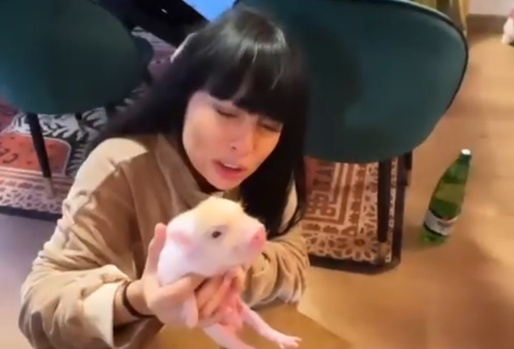 Нелли Ермолаева купила сыну второго по счёту поросёнка