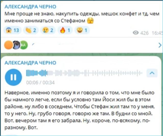 Александра Черно вынуждена признать, что не справляется с сыном Стефаном без помощи Иосифа Оганесяна