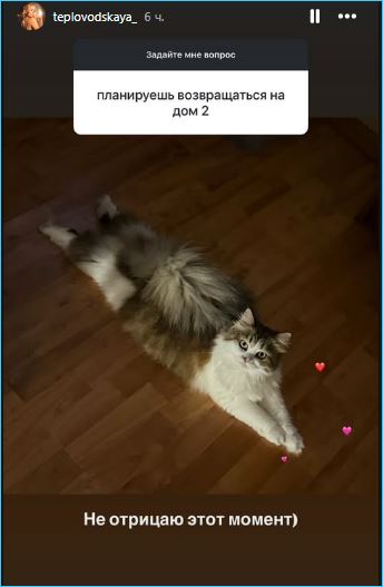 Елена Тепловодская общается с Яббаровым и не отрицает возращения с ним на Дом 2