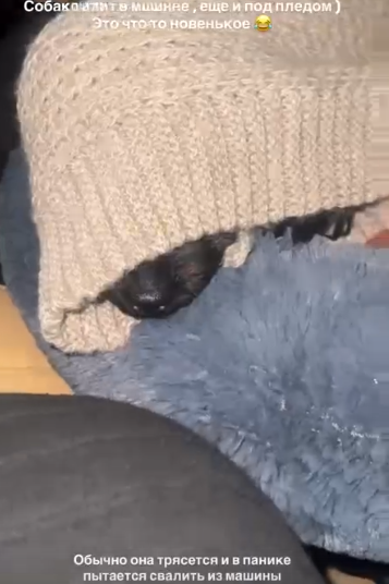 Майя Донцова проводит эксперименты над собакой во время путешествия по Росссии