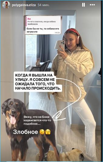 Такого в жизни еще не было, считает Елизавета Полыгалова, пострадавшая от укуса собаки