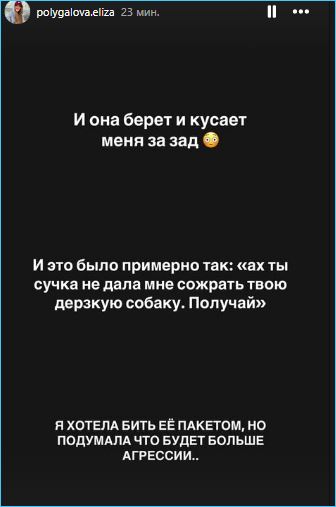Такого в жизни еще не было, считает Елизавета Полыгалова, пострадавшая от укуса собаки
