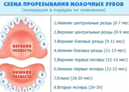 Виктория Салибекова рассказала о развитии сына Леона