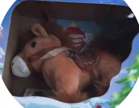 Ковбой Сергей Хорошев получил в подарок от тёщи лошадку