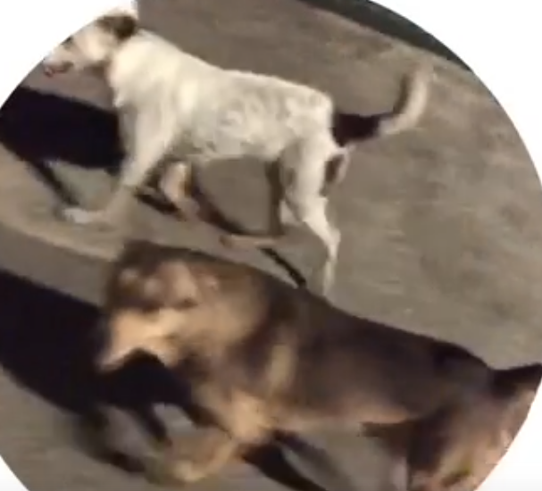 Илья Яббаров выставил Тепловодскую из комнаты на вилле в Сочи