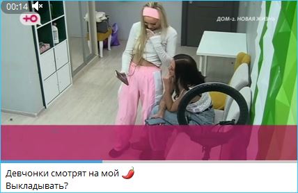 Сергей Хорошев дразнит «гиен» Дома 2 из Нижнего Новгорода