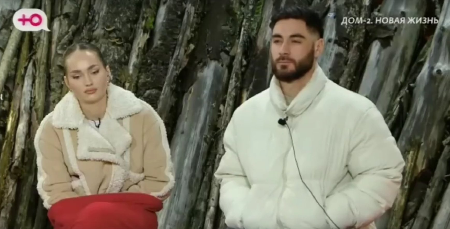 Психолог Светлана Прель осудила Викторию Салибекову за оскорбления в сторону Тиграна