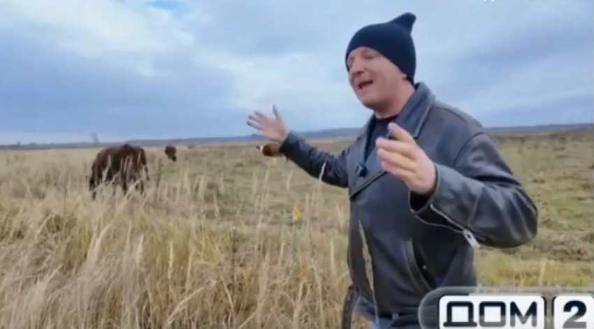 Илья Яббаров хочет купить в Беларуси коров для Елены Тепловодской Илья Яббаров хочет купить в Беларуси коров для Елены Тепловодской