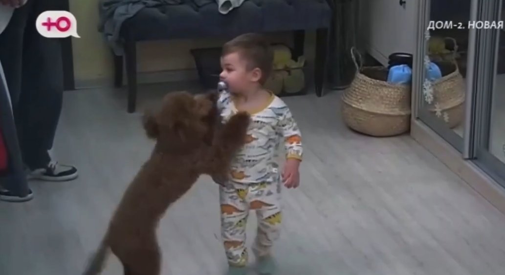 Катя Квашникова не ухаживает за собакой, ей рано становиться матерью, считает Салибеков