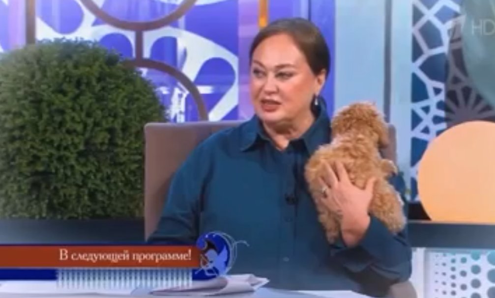 Лариса Гузеева не помогла найти Дмитрию Шишкану невесту в 