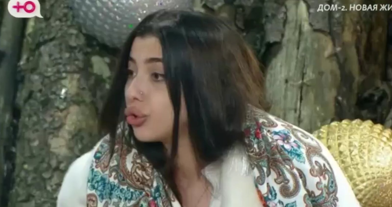 У Дмитрия Шишкану не получается собрать заговор против Юниты Петросян