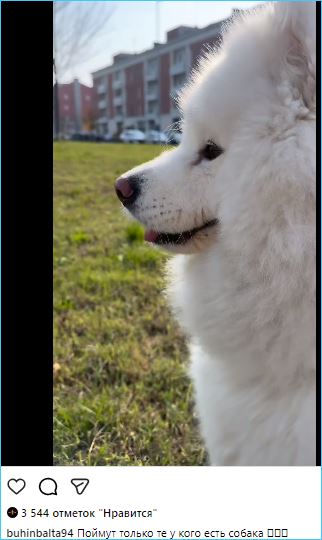 Кристина Бухынбалтэ призналась, что скучает без своей собаки Лео во время поездок