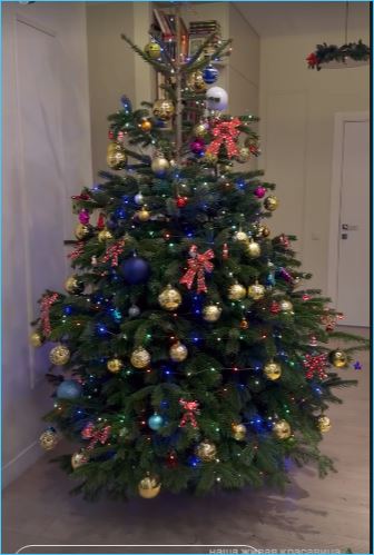 Алена Рапунцель подготовилась к встрече Нового года с детьми