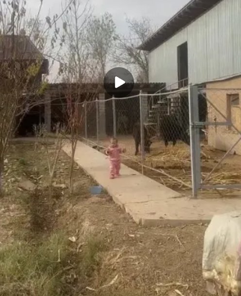 Анна Самонина: Один день из жизни женщины Узбекистана