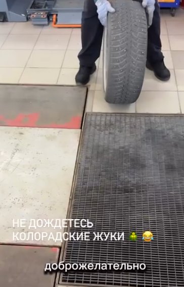 Нелли Ермолаева чуть не попала в аварию из-за проколотого колеса