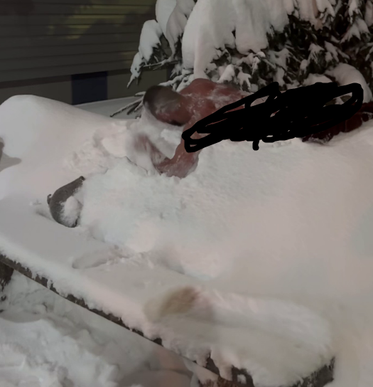 Мудрая Юлия Колисниченко выбрала возлюбленного такого же типажа, как её бывший муж Тигран