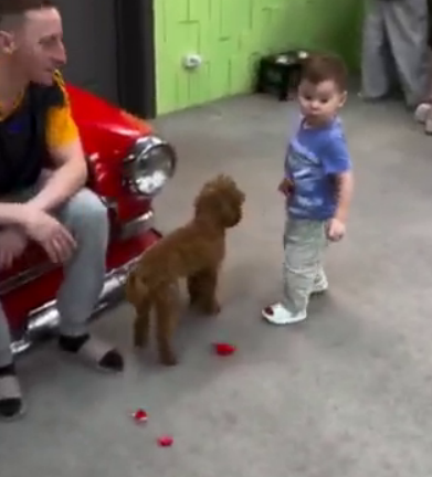 Тигран Салибеков рад, что у его сына появятся на доме 2 маленькие друзья