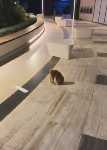 Сергей Хорошев опроверг слухи о том, что его содержит жена