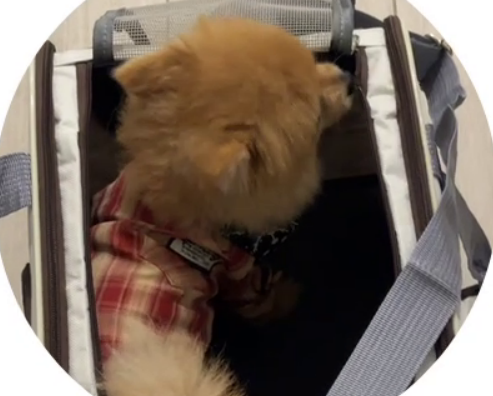 Евгения Дорожкина рассказала о ЧП на рейсе в Рио-де-Жанейро