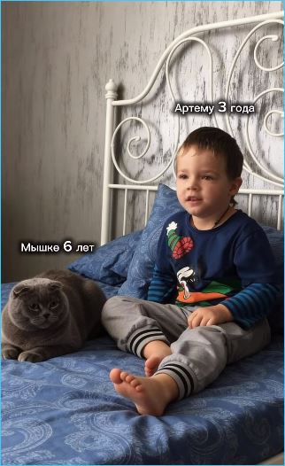 Дарья Пынзарь рассказала о кошке Мышане, с которой выросли её сыновья