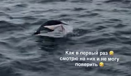 Виктория Романец поделилась кадрами из путешествия в Антарктиду