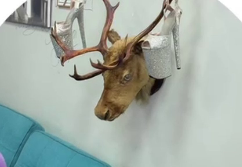 Ксения Карпова не может расстаться с рогами