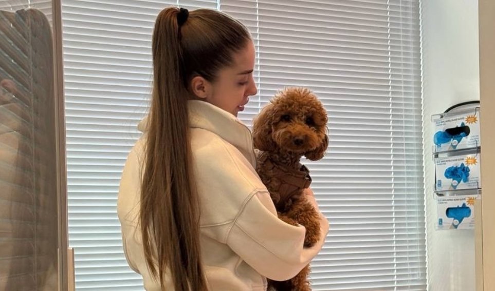 Будет операция. Екатерину Квашникову расстроил диагноз её собаки