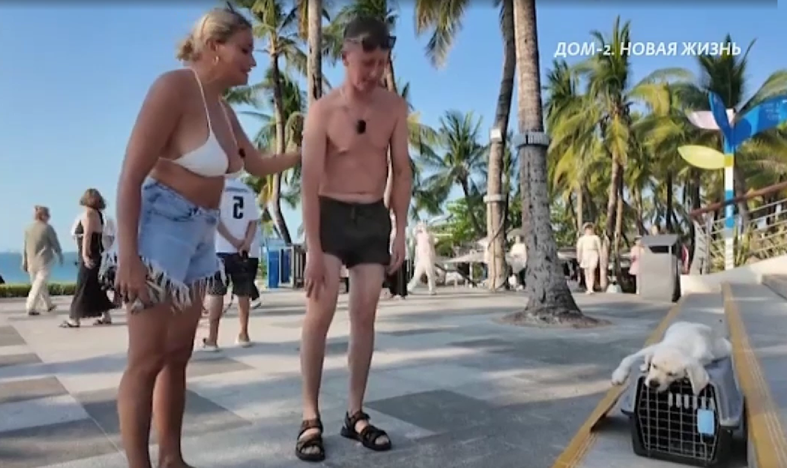 Альберт Гракович возмущён тем, как умело разводит его на деньги Вероника Альберт Гракович возмущён тем, как умело разводит его на деньги Вероника