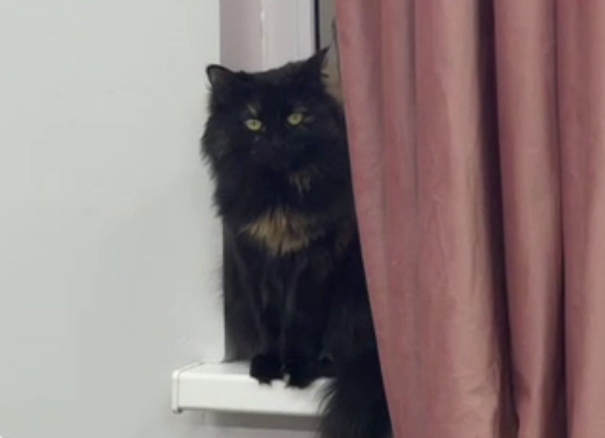 Дарье Виноградовой испортили платье