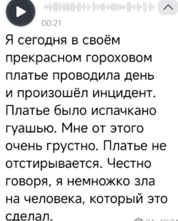 Дарье Виноградовой испортили платье