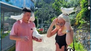 вот У одних – любовь, у других – голуби