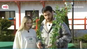 как Как Салибековы собрались до пенсии на проекте сидеть