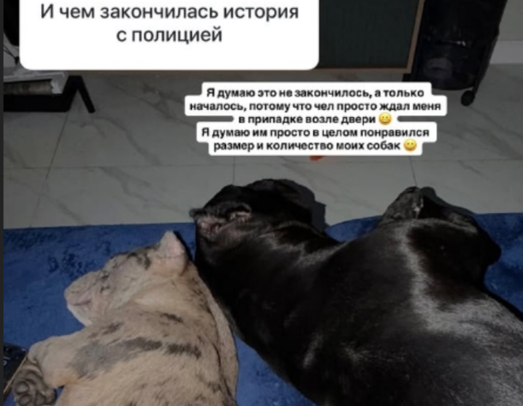 Соседи Анастасии Стецевьят вызвали полицию
