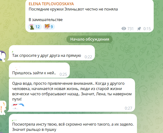 Элине Рахимовой не понравилось, что Тепловодская считает её деньги