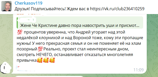 Нелли Ермолаева намекнула на дружбу Элины Рахимовой и Андрея Черкасова