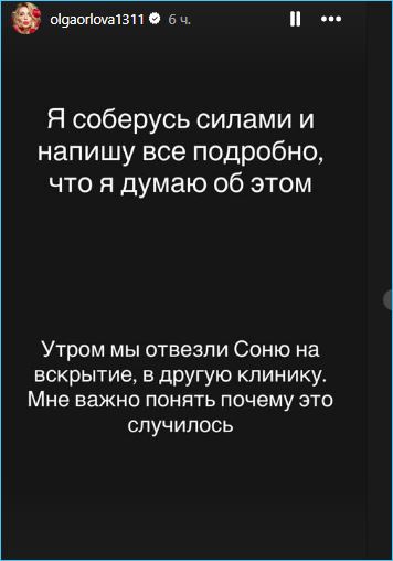 Ольга Орлова винит себя, что не уберегла кошку Соню