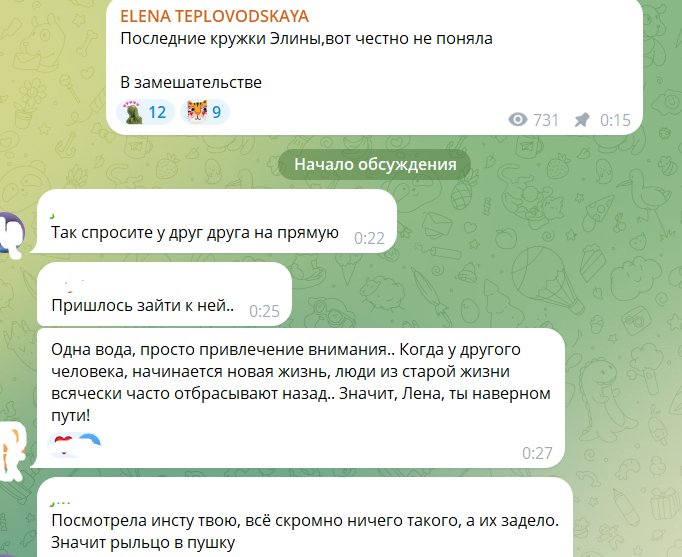 Элине Рахимовой не понравилось, что Тепловодская считает её деньги