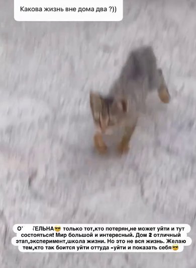 Последние новости дом 2 на сегодня 18 июля 2026