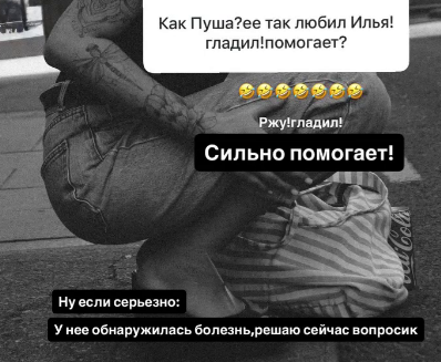 Елена Тепловодская не может забыть Яббарова, который не помогает лечить кошку