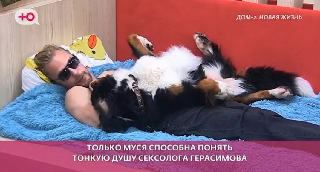 Артём Герасимов недоволен оценкой сексолога Иванны Еремия